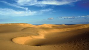 Die Sanddünen von Maspalomas auf Gran Canaria. Foto: TUI Cruises