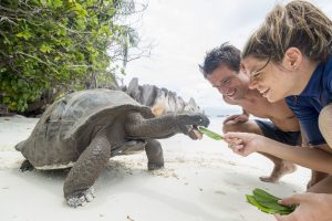Einzigartige Natur kann auf den inseln der Seychellen bestaunt werden. Foto: Silhouette Cruises