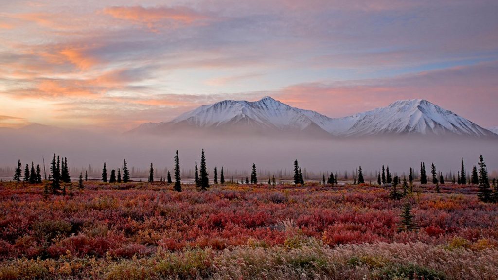 Blick auf die Berge des Alaska Range im Denali Nationalpark. Foto: Seabourn