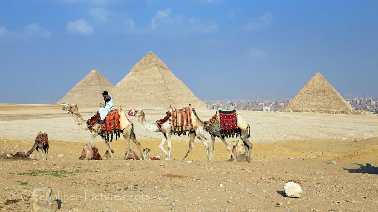 Kamele vor Gizeh Pyramiden, Ägypten / Foto: Oliver Asmussen/oceanliner-pictures.com