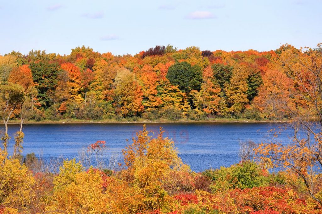 Im Rausch der Farben beim Indian Summer am Sankt-Lorenz-Strom / Foto: Oliver Asmussen/oceanliner-pictures.com