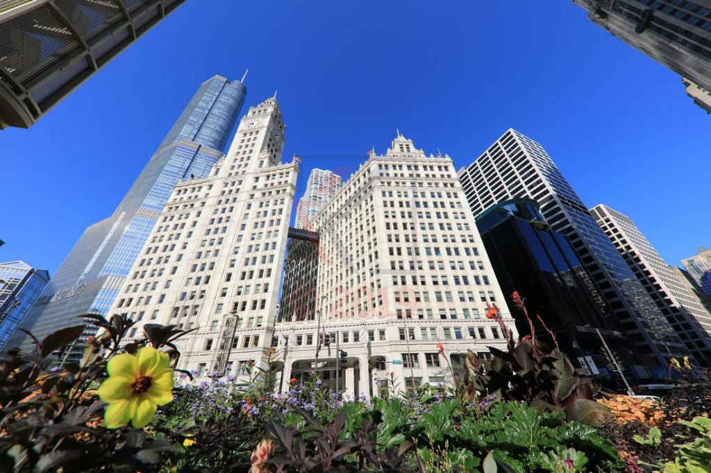 Trump Tower und Wrigley Building in Chicago / Foto: Oliver Asmussen/oceanliner-pictures.com